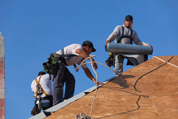 Best Metal Roofing Contractor  in Lake Geneva, WI