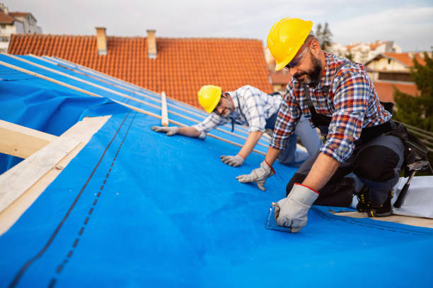 Best Flat Roof Repair Services  in Lake Geneva, WI